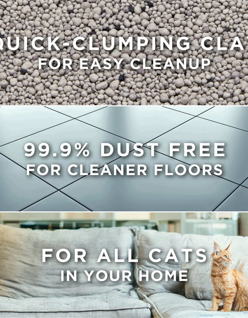 Load image into Gallery viewer, Purina  Free and Clean Clumping Cat Litter, Unscented, 20 Lb Jug
