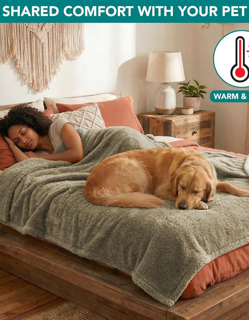 Load image into Gallery viewer, Fluffy Waterproof Dog Blanket Fleece | Soft Warm Pet Fleece Throw for Large Dogs and Cats | Fuzzy Plush Sherpa Throw Furniture Protector Sofa Couch Bed

