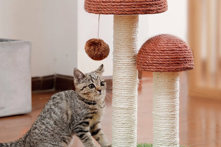 2 Mushrooms Cat Scratching Post 19" Sisal Claw Scratcher for Kittens and Small Cats, Brown