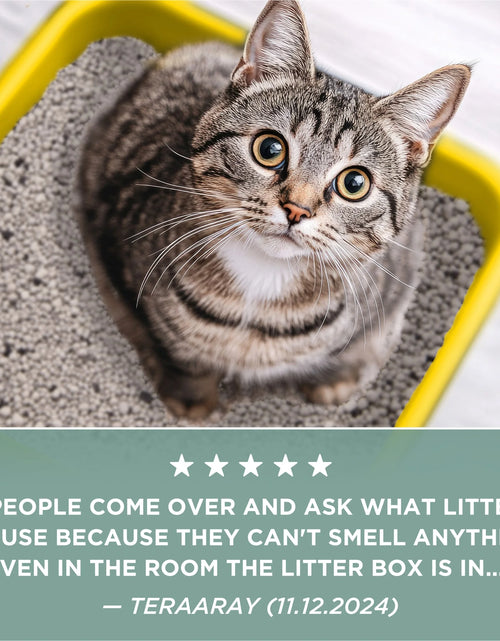 Load image into Gallery viewer, Purina  Free and Clean Clumping Cat Litter, Unscented, 20 Lb Jug
