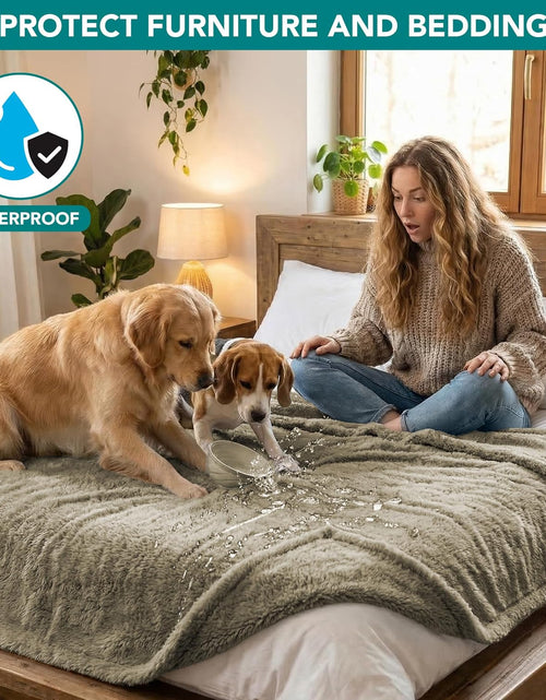Load image into Gallery viewer, Fluffy Waterproof Dog Blanket Fleece | Soft Warm Pet Fleece Throw for Large Dogs and Cats | Fuzzy Plush Sherpa Throw Furniture Protector Sofa Couch Bed
