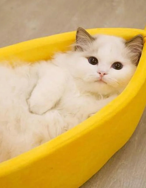 Load image into Gallery viewer, Banana Pet Bed , Cama Para Mascotas Linda Y Divertida Con Cojín Removible Para Perros, Gatos De Interior, Conejos, Animales Pequeños, Amarillo
