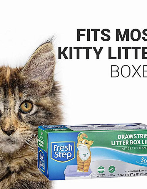 Load image into Gallery viewer, Forros De Caja De Arena Con Cordón, Tamaño Jumbo, 36" X 19" - Paquete De 7
